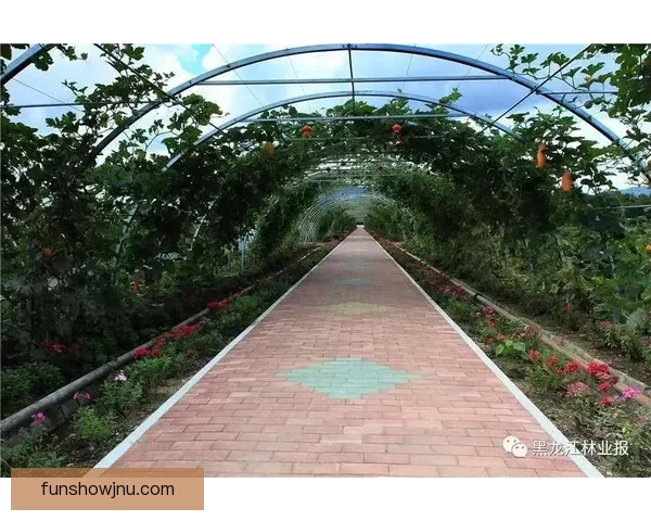 以玛巴斯为中心打造多元文化交流平台并强化区域合作机制推动发展